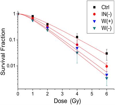 Gadolinium-Based Nanoparticles for Theranostic MRI-Guided Radiosensitization in Hepatocellular Carcinoma